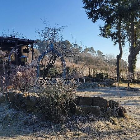 Gemuetliches Ferienhaus Mit Grossem Garten, Ideal Fuer Naturliebhaber Gerhardshofen Buitenkant foto